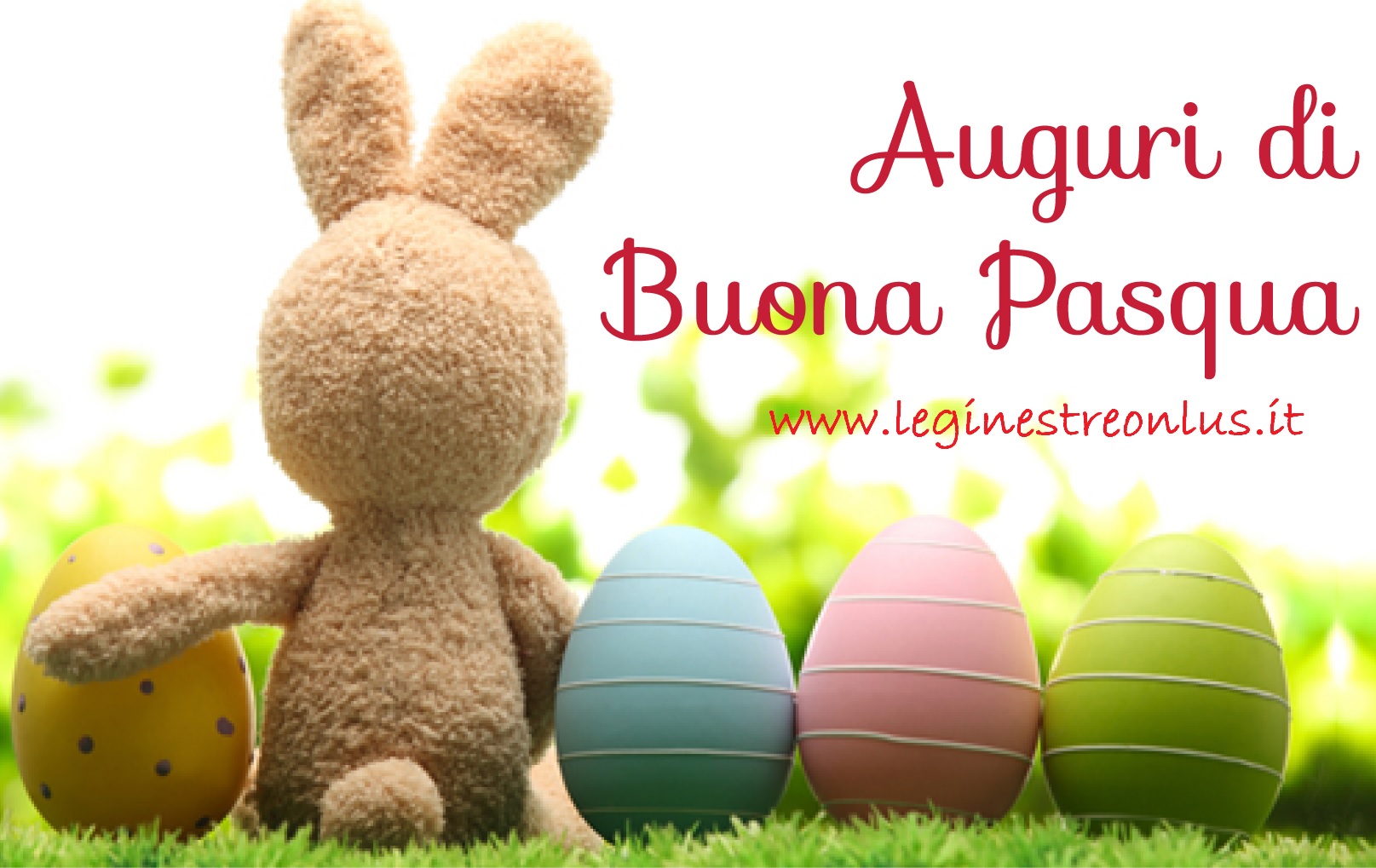 BUONA PASQUA da Le Ginestre Onlus